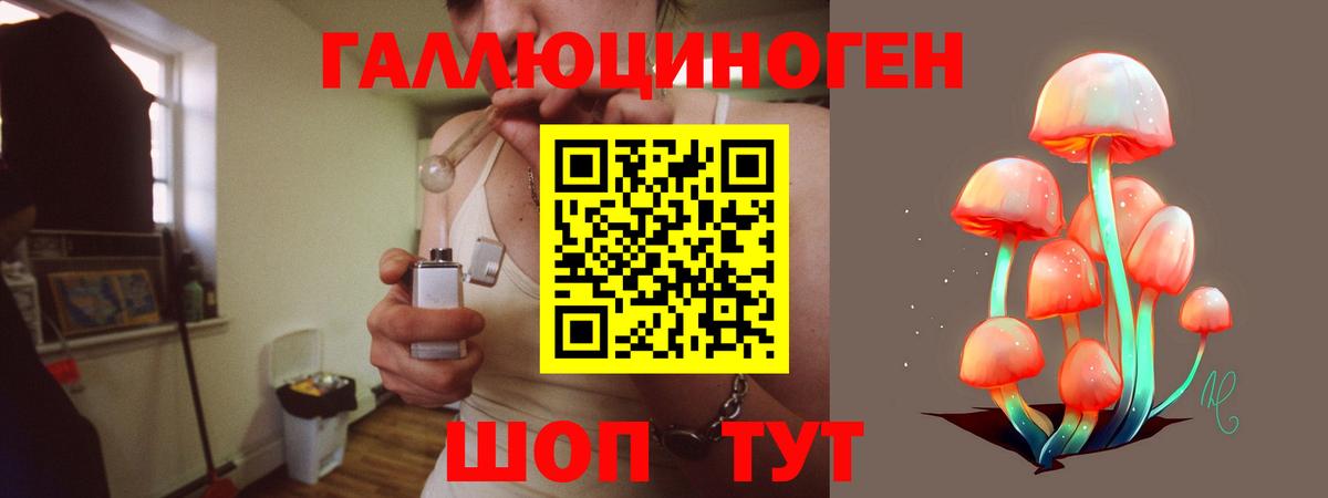 Галлюциногенные грибы MAGIC MUSHROOMS Пугачёв